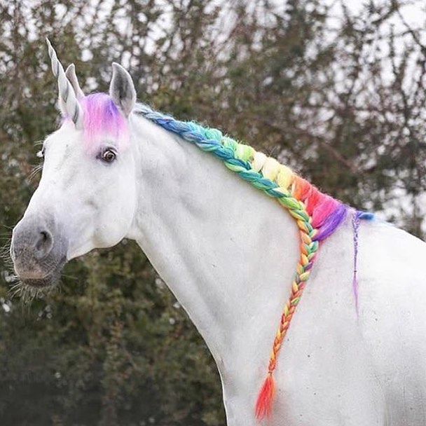 Unicorn mane goals. 🦄